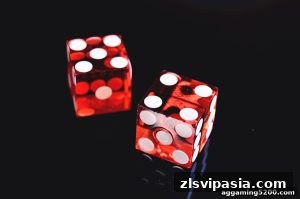 AG真人 zlsvipasia